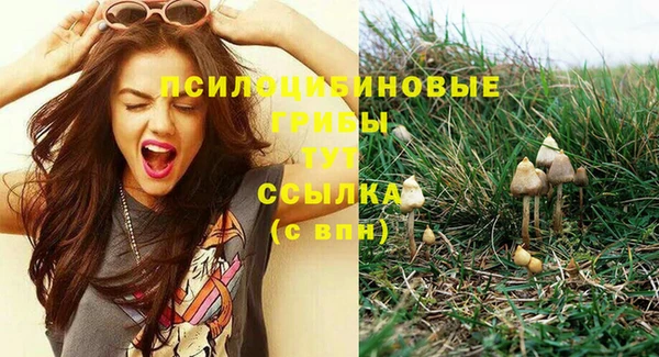 MESCALINE Абаза