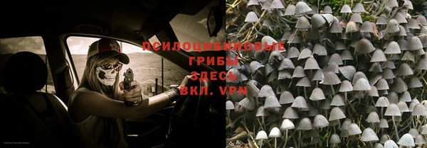 2c-b Алзамай