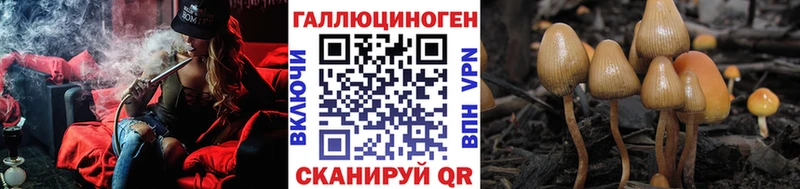 как найти наркотики  Карасук  mega рабочий сайт  Галлюциногенные грибы прущие грибы 